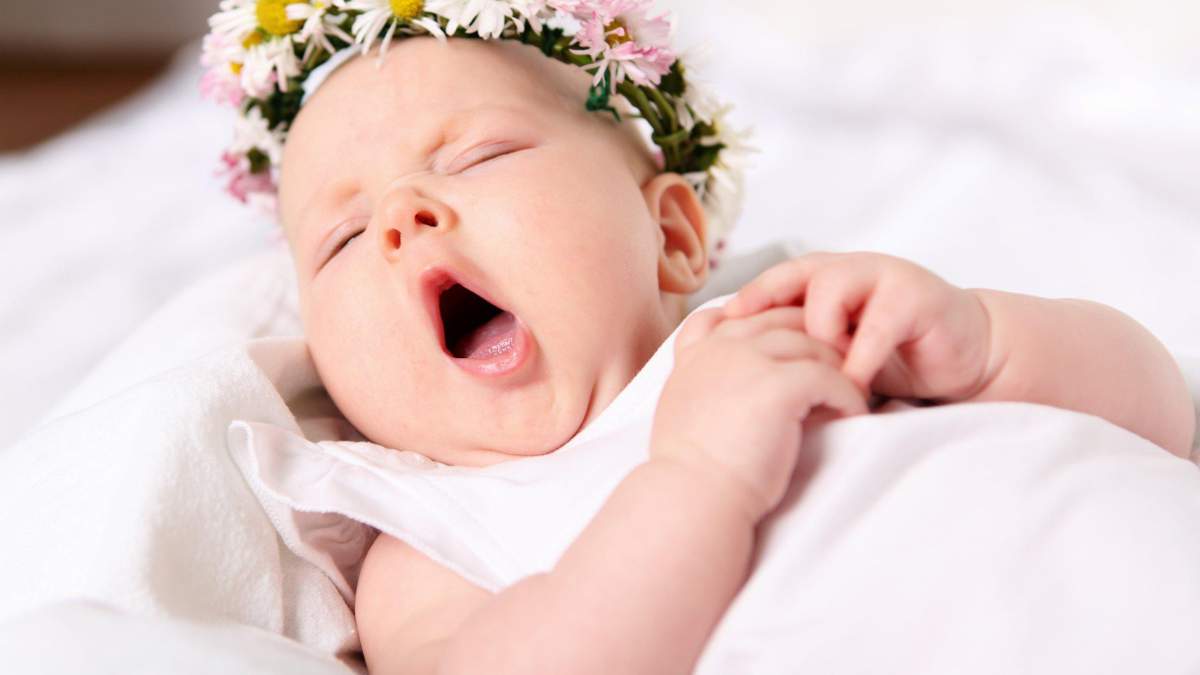 Новости Днепра про Второй рекорд за месяц: в Днепре за сутки родились 24 младенца