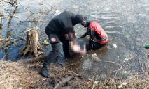 В Днепре 45-летняя женщина провалилась под лед и утонула: ее тело нашли на глубине 3-х метров