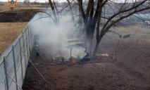 Під Дніпром у пожежі живцем згоріли свійські тварини
