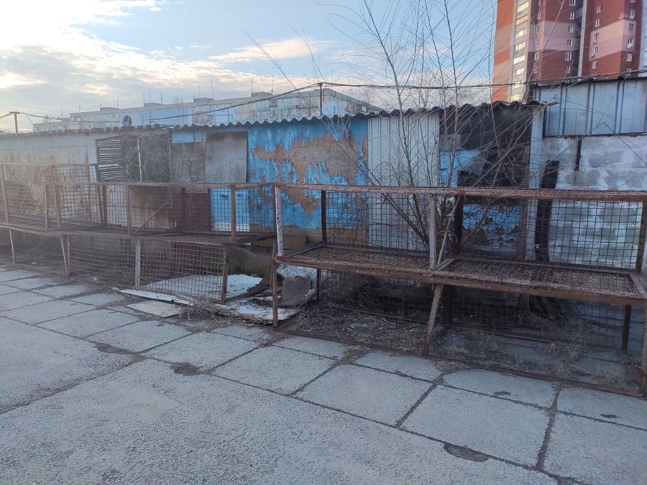 Новости Днепра про Тишина и ржавые прилавки: как сегодня выглядит покинутый вещевой рынок в Днепре (ФОТО)