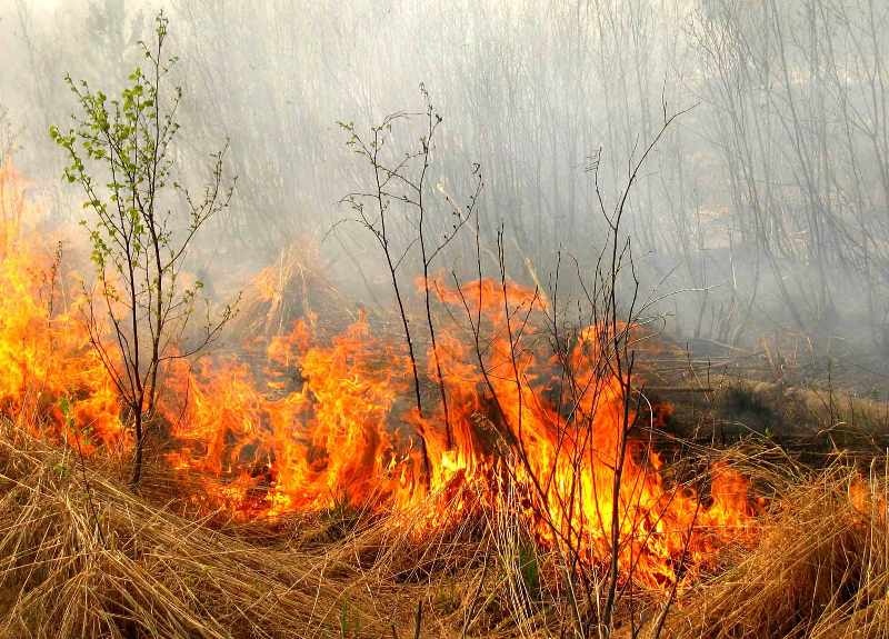 Новости Днепра про На Дніпропетровщині пенсіонер випадково впав у вогонь, коли палив сухостій