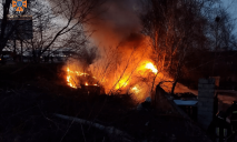 В Днепровском районе легковушка слетела с дороги и загорелась