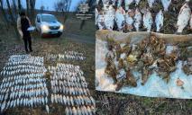 Наловив карасиків та раків на 700 тис. грн: на Дніпропетровщині затримали браконьєра