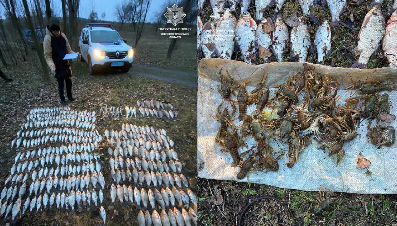 Новости Днепра про Наловил карасиков и раков на 700 тыс. грн: на Днепропетровщине задержали браконьера