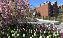 У дніпровському парку Шевченка розквітли поля різнобарвних тюльпанів (ФОТО)