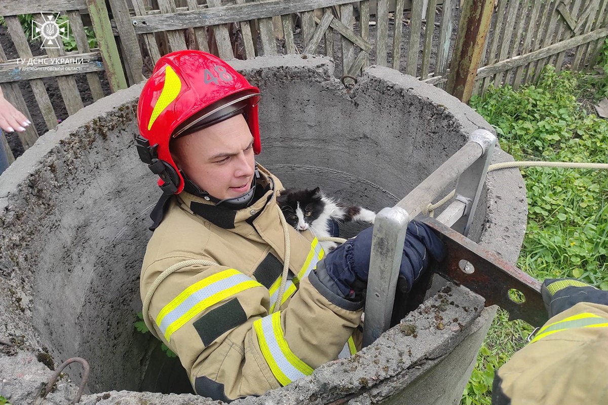 Новости Днепра про На Днепропетровщине ГСЧСники спасли котика, который упал в колодец с водой