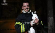В Днепре на Калиновой горела квартира: пожарные спасли мужчину и котика