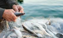 В Днепропетровской области браконьер наловил рыбы почти на 60 тыс. грн убытков