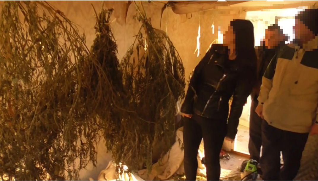 Новости Днепра про Хранил почти три кг каннабиса и растения конопли: правоохранители сообщили о подозрении жителю Никопольского района