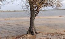В Днепре затопило Монастырский остров: теперь в воде «растут» деревья и стоит спасательная вышка (ФОТО)