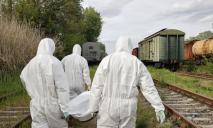 “Хеппі енду не буде”: окупанти в Запорізькій області розкопали сибірську виразку