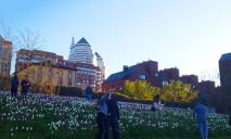 Словно поле в Нидерландах: в парке Шевченко расцвели сотни тюльпанов (ФОТО)
