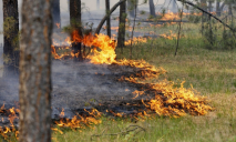 В Днепре и области предупредили о чрезвычайной пожарной опасности