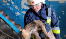 В Днепре ГСЧС-ники спасли на пожаре женщину и собаку (ВИДЕО)
