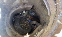 В Днепре собака упала в канализационный люк: ее доставали спасатели