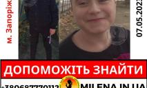 В Запорожье пропал 14-летний парень: предположительно, он находится в Днепропетровской области
