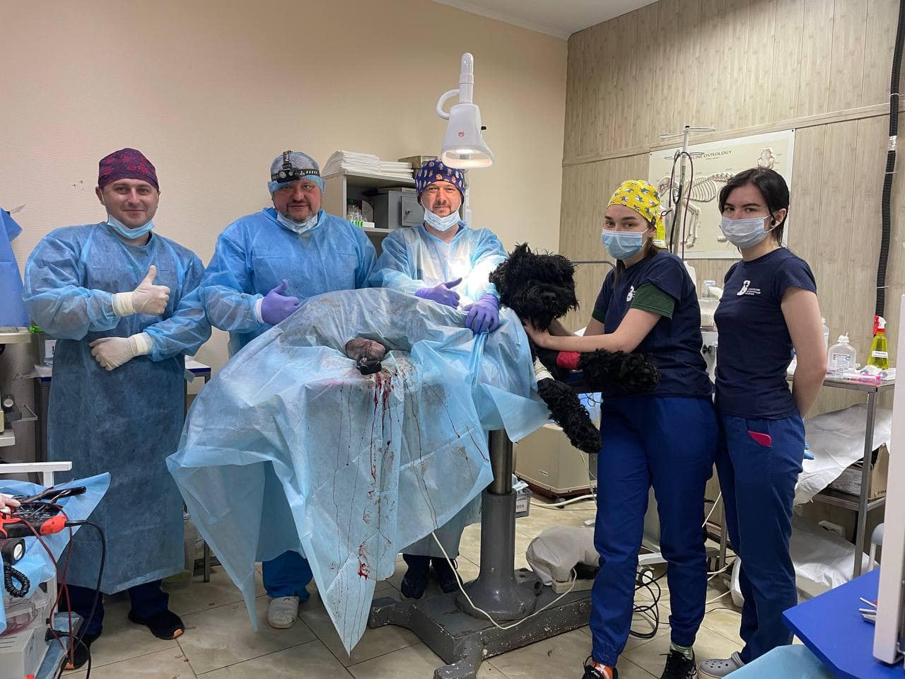 Новости Днепра про У Харкові ветеринари вперше поставили біоінтегрований протез собаці, яку скалічила війна: зворушливе відео