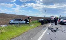 Был 4 автомобиль: стали известны подробности смертельной аварии на трассе Днепр-Никополь