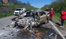 В Днепропетровской области на трассе столкнулись Volkswagen и BYD: есть погибшие