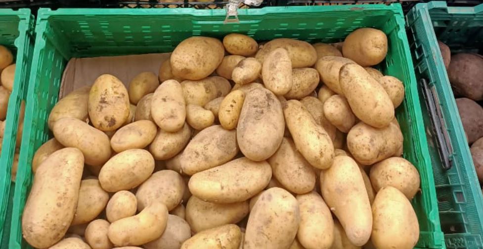 Новости Днепра про Уся гнила: мешканці Дніпра скаржаться на неякісну картоплю в АТБ