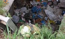 На Днепропетровщине собачка упала в 4-метровую яму с мусором: ее доставали спасатели