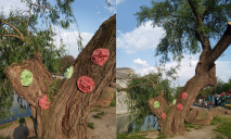 В Днепре в парке Глобы появился необычный арт-объект: дерево Шляпника