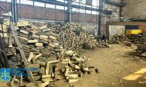 Миллионный ущерб: в Днепровском районе банда «лесорубов» уничтожила часть леса