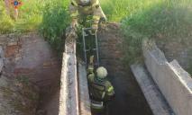 На Дніпропетровщині рятувальники витягли песика, який впав у величезну глибоку яму