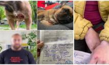 У Дніпрі в парку Глоби агресивний пес разом з власником напали на жінку з собакою: подробиці