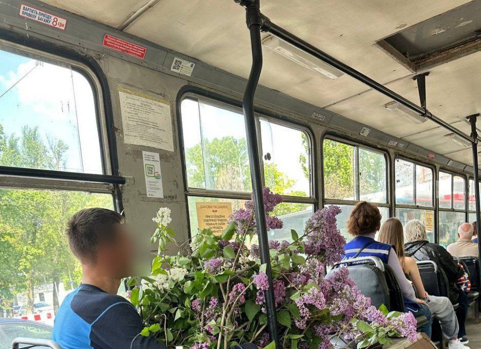 Новости Днепра про У трамваї в Дніпрі помітили пасажира, який віз своїй коханій цілий кущ бузку (ФОТО)
