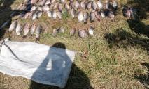 Операція «Нерест»: на Дніпропетровщині зловили рибалку-браконьєра