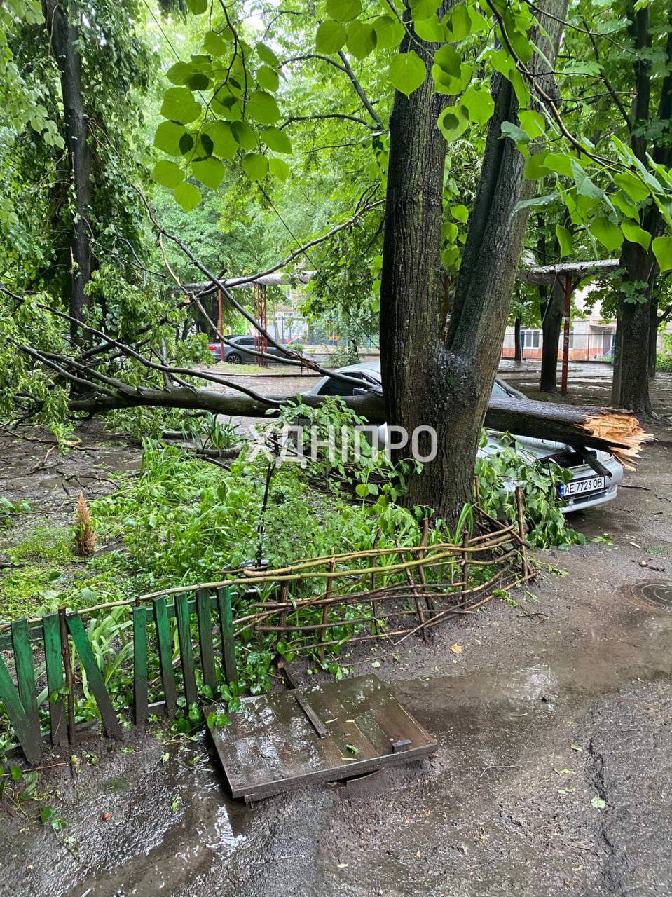 Новости Днепра про В Днепре во время непогоды дерево свалилось на машину (ФОТО)