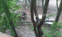 У Дніпрі під час негоди дерево звалилося на машину (ФОТО)