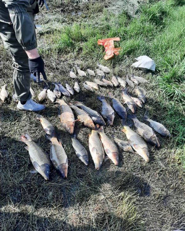 Новости Днепра про Під час нересту виловив близько 50 кг риби: на Дніпропетровщині затримали браконьєра