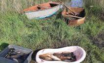Під час нересту виловив близько 50 кг риби: на Дніпропетровщині затримали браконьєра