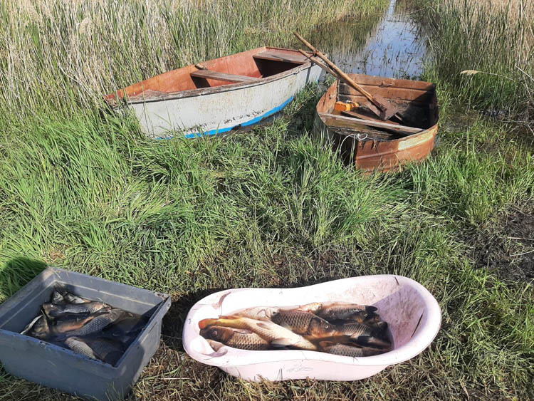 Новости Днепра про Під час нересту виловив близько 50 кг риби: на Дніпропетровщині затримали браконьєра