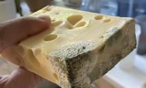 «Дорблю по цене радомера»: в днепровском АТБ покупатели приобрели сыр с «сюрпризом» (ФОТО)