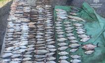 230 рибин: водний патруль Дніпропетровщини виявив браконьєра