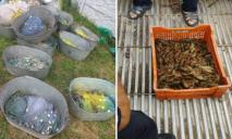 Збитки на понад 860 тисяч грн: на Дніпропетровщині затримали бракон’єрів
