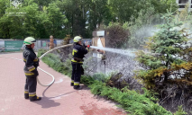 У Дніпрі на Перемозі біля Бартоломео сталася пожежа: коментар ДСНС