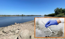 Отобрали пробы воды: есть ли угроза вспышки холеры на Днепропетровщине
