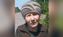На Днепропетровщине разыскивают без вести пропавшую 73-летнюю женщину: кинологи просят помощи