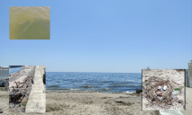 Величезне дерево, сміття та зелена вода: як виглядають пляжі Одеси після підриву Каховської ГЕС (ФОТО)