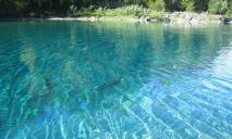 Как выглядят номера турбаз возле Днепра за 2,3 тыс грн в сутки: у речки и на Голубых Озерах (ФОТО)