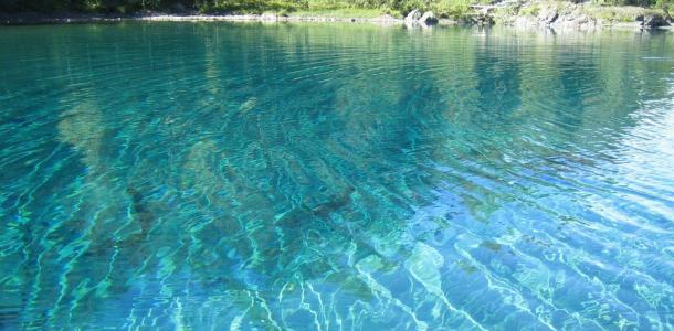Как выглядят номера турбаз возле Днепра за 2,3 тыс грн в сутки: у речки и на Голубых Озерах (ФОТО)
