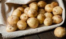 За ціною полуниці: скільки коштує молода картопля на ринку та у магазинах Дніпра