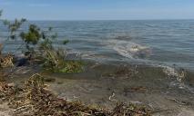В Одесской области преснеет море после подрыва оккупантами Каховской ГЭС