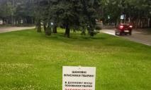 В Днепре посреди проспекта Гагарина пытались хоронить животных