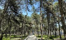 Огляд парків Соборного району Дніпра: де можна погуляти у тиші, погодувати качок та покататися на велосипеді