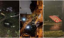 Сваленные деревья изуродовали автомобили и дома: Днепр и окрестности приходят в себя после тайфуна (ФОТО)